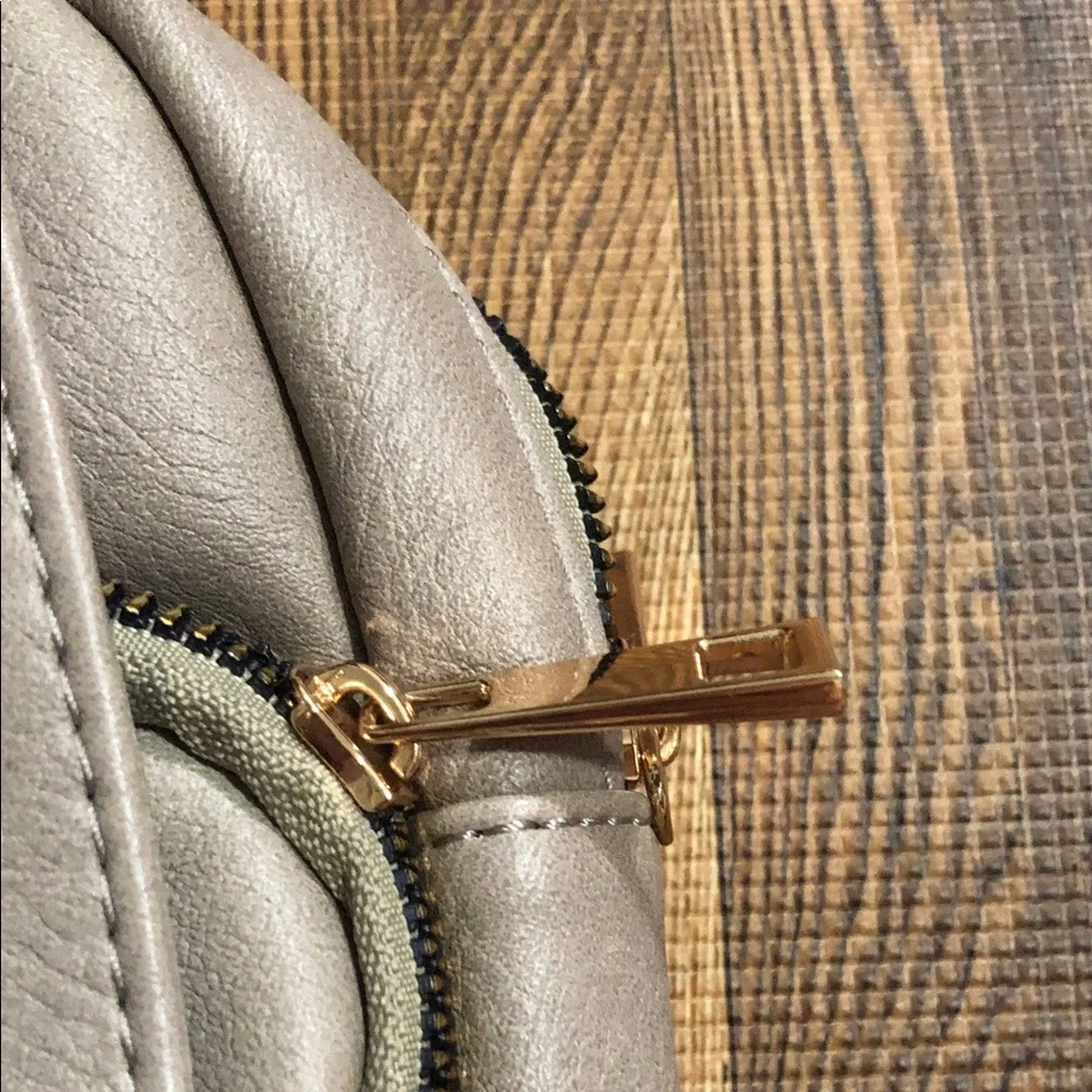 Telena Taupe Mini Slingbag with Front Flap and Gold Hardware